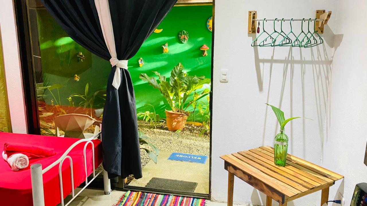 Guest House Pura Vida ケポス エクステリア 写真