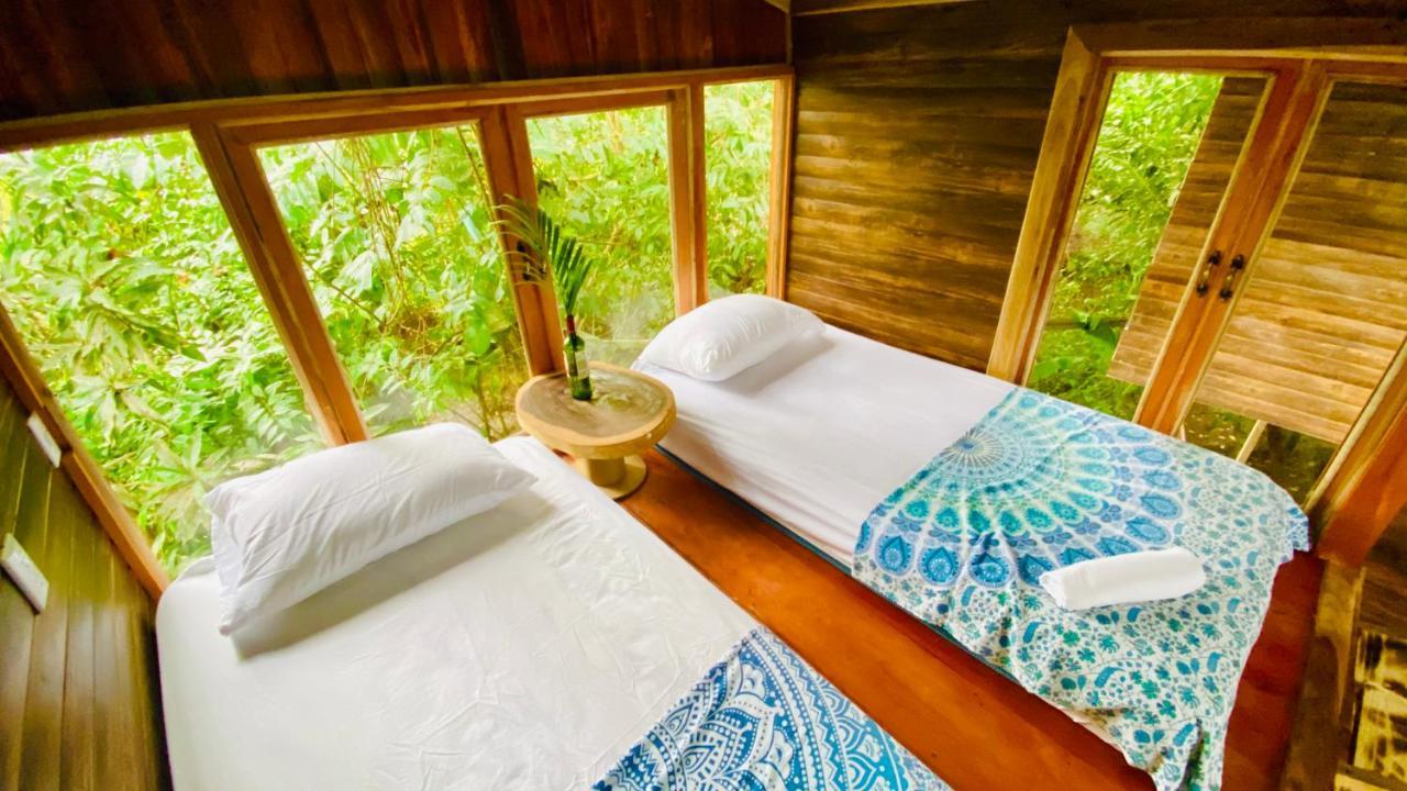 Guest House Pura Vida ケポス エクステリア 写真