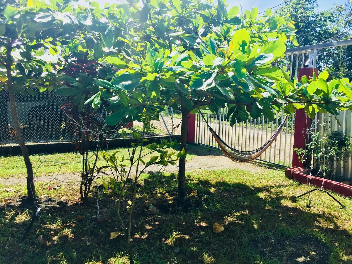 Guest House Pura Vida ケポス エクステリア 写真